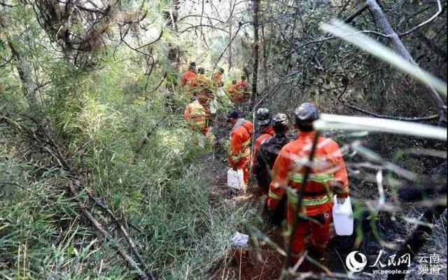 任务官兵向密林深处送水。