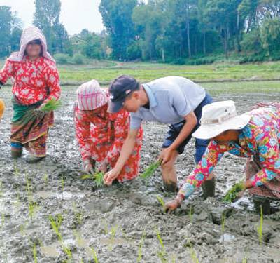 当地农民和中国技术人员一起插秧。中国援尼泊尔农业技术合作项目组供图