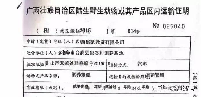 广西盛凯投资有限公司取得的野生动物运输许可证，用于向基地运送穿山甲。新京报记者王飞翔摄