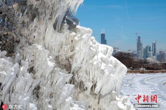 资料图：魔鬼“极地涡旋”席卷美国席卷北美，芝加哥出现零下25℃的极寒天气，街沙滩上的树木被冰封，宛若巨型冰雕一般，引来大批民众拍照留念。图片来源：东方IC