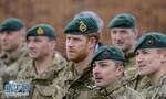 英国哈里王子参观皇家海军陆战队基地 头戴贝雷帽亮相
