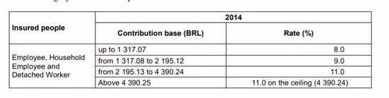 巴西私营部门工人缴纳社保并不比公务员少多少（图片来源：经合组织报告）