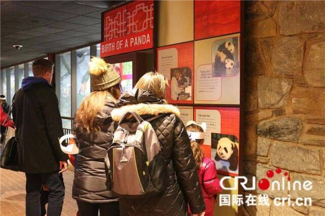 美国访客在熊猫馆内浏览装修后增添的展示墙。（摄影刘坤）