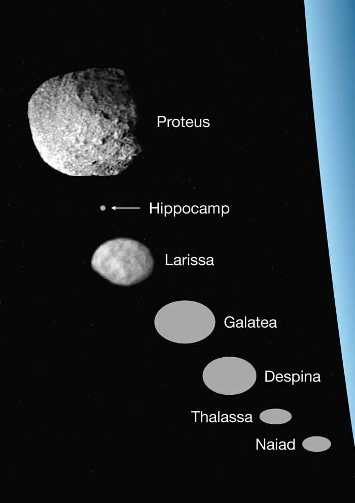 美国科学家发现海王星第7颗内卫星以希腊神话海怪“马头鱼尾怪”命名