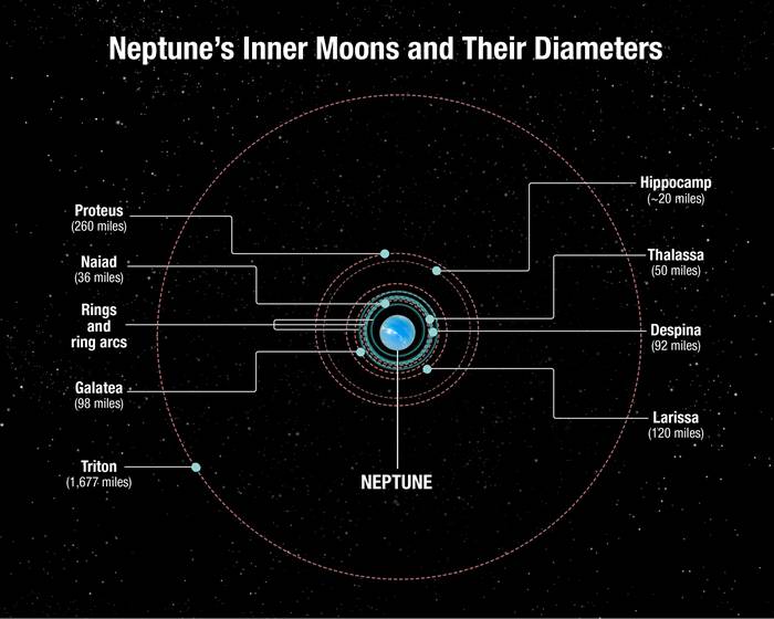 美国科学家发现海王星第7颗内卫星以希腊神话海怪“马头鱼尾怪”命名