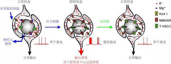 （图片来源：科技部）