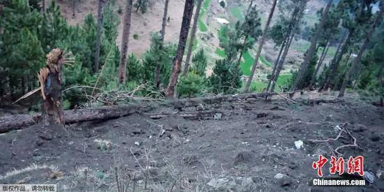 图为巴基斯坦方面26日发布的印度空袭后巴拉科特地区树木受损情况。