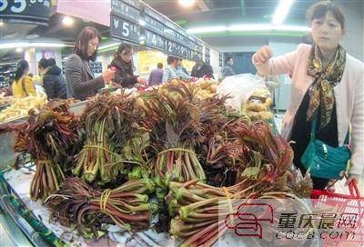 超市、农贸市场随处都能见到椿芽的身影，它是重庆主城春天市民餐桌上最受欢迎的野菜之一。重庆晨报记者杨新宇摄