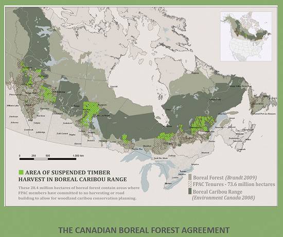 整个浅灰色区域为加拿大北方森林，绿色为保护区。图片来源：《