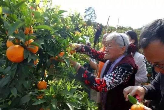 褚柑马静芬基地上市发布