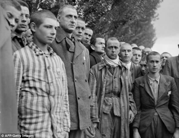 达豪集中营的法国囚犯。二战期间，纳粹曾在集中营实施巨型安哥拉兔繁育计划，名为“麦肯奇行动”。达豪集中营便是第一座实施这项繁育计划的集中营。这座纳粹集中营位于慕尼