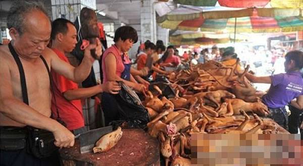 每年狗肉节，市场内尽是屠狗摊档。