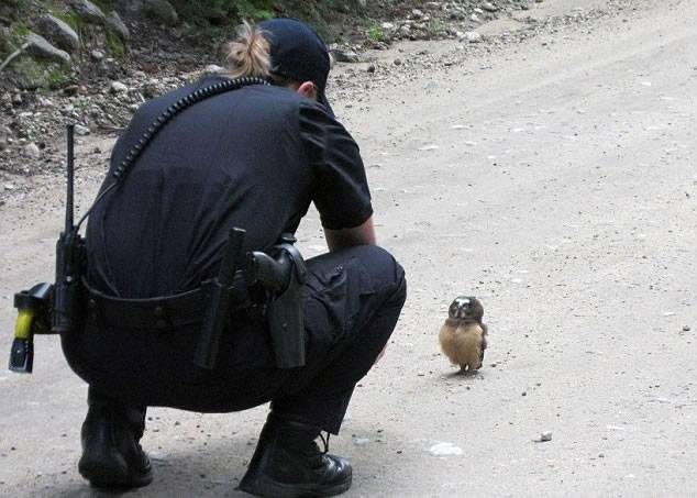 女警蹲下与猫头鹰交流