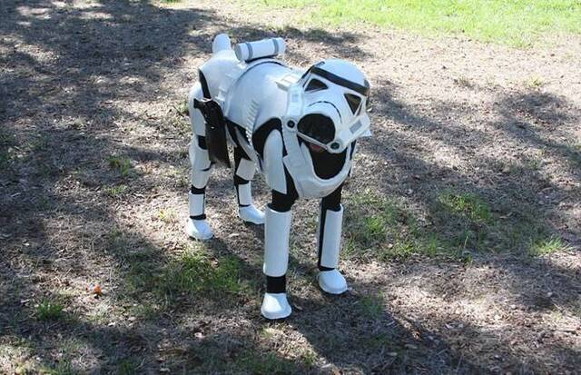 杜宾犬“佩妮”穿上主人特制的《星球大战》中的帝国冲锋队士兵战服，变身威武士兵。