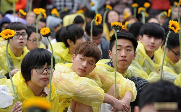 “太阳花”学运资料图图片来自台媒