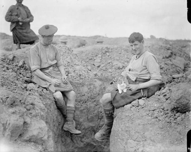1916年8月25日，2名士兵和猫。