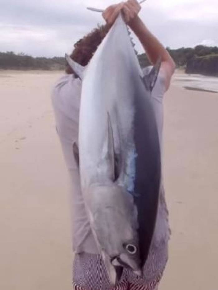 澳洲3名男子酒后忽发奇想用航拍无人机成功钓获20公斤重吞拿鱼