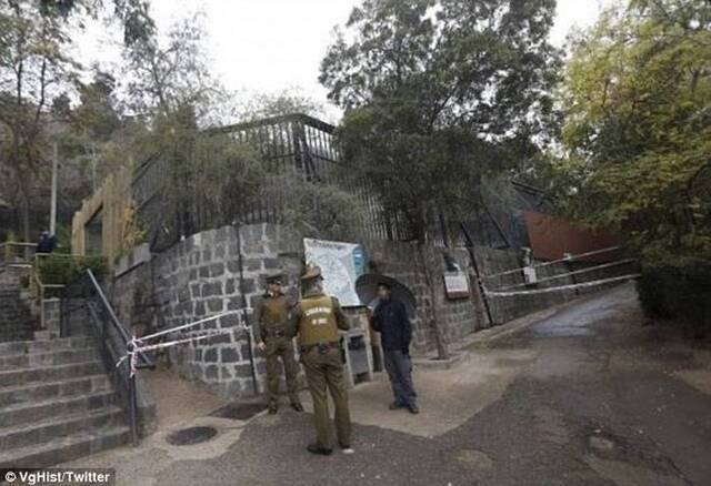 智利男子跳进动物园狮子栏舍中自杀为救他两只狮子被射杀