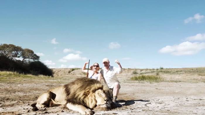 情侣在南非与猎杀狮子合照背后另一只狮子冲过来