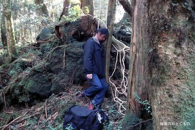 日本富士山脚下“青木原树海”被称为自杀森林，每年都有上百具尸体被发现