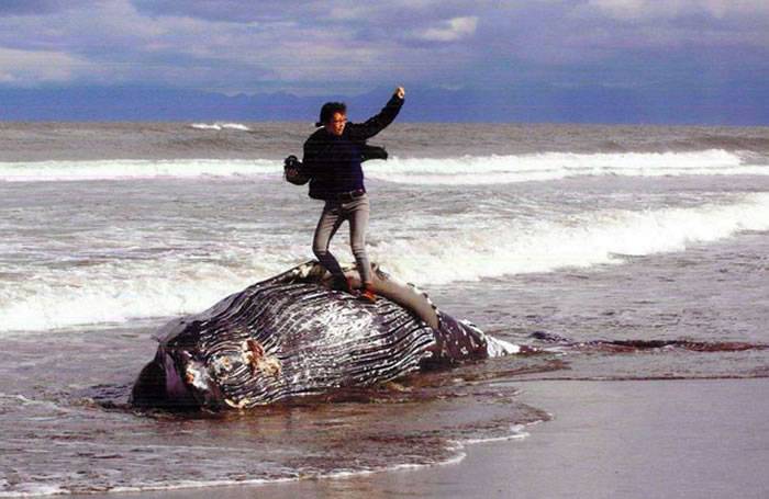 站在鲸鱼尸体上自拍作品《征服》竟得奖日本北海道“鄂霍次克的四季”摄影大赛挨轰