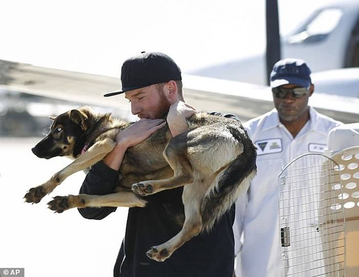 美国名叫“月亮”的德国狼犬陪主人钓鱼落海失踪1个月游1.6公里回家