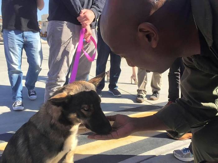 美国名叫“月亮”的德国狼犬陪主人钓鱼落海，失踪1个月游1.6公里回家