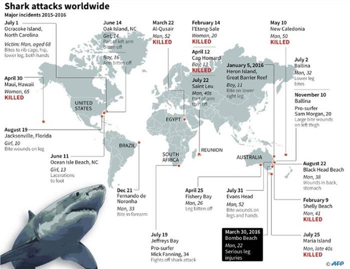 全球鲨鱼袭击分布图