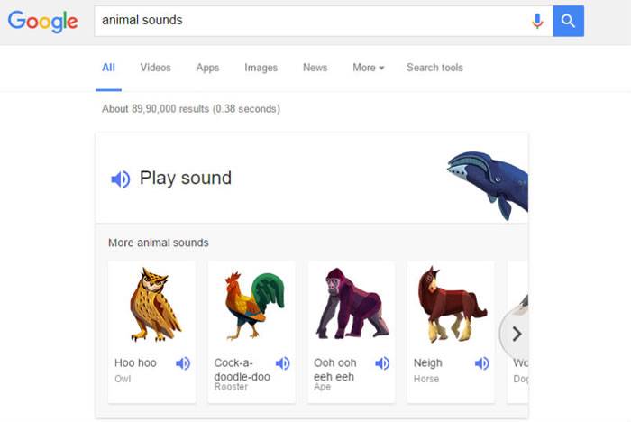 Google隐藏的新功能：只要输入animalnoises、animalsounds就能听到动物叫声