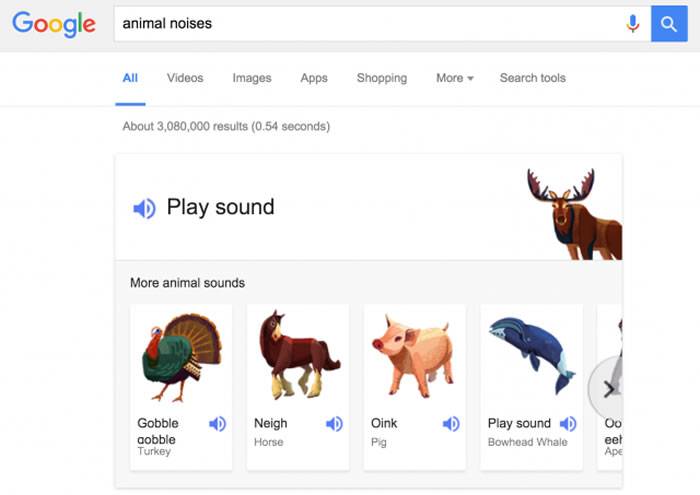 Google隐藏的新功能：只要输入animalnoises、animalsounds就能听到动物叫声