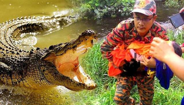 马来西亚鳄鱼拖2岁女童下水爸爸拚命紧抱无奈被咬松开手