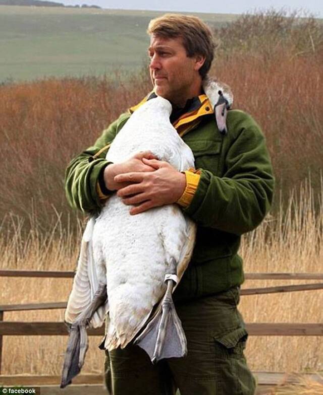 英国电视节目主持人多年前曾救天鹅一命重返当地被天鹅认出热情拥抱