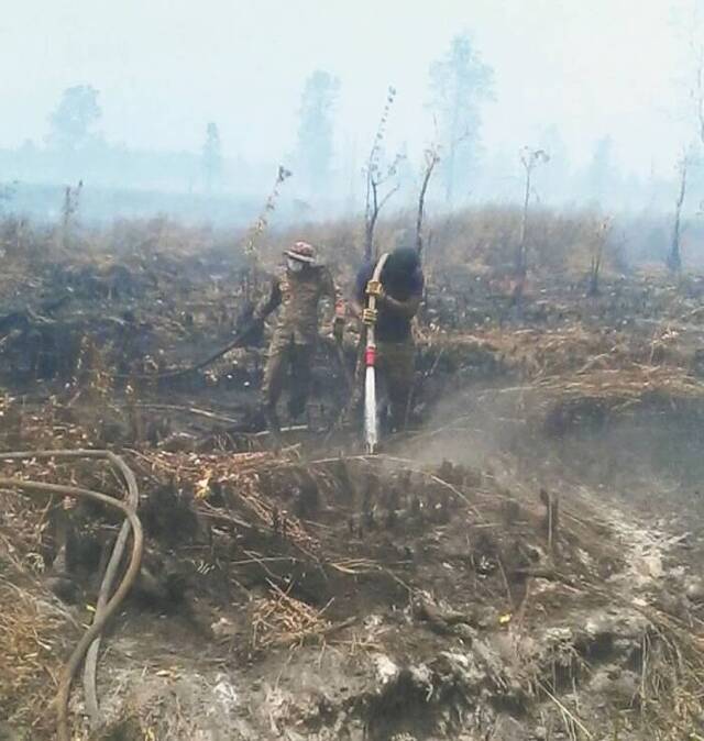 搜救人员清理山火现场。