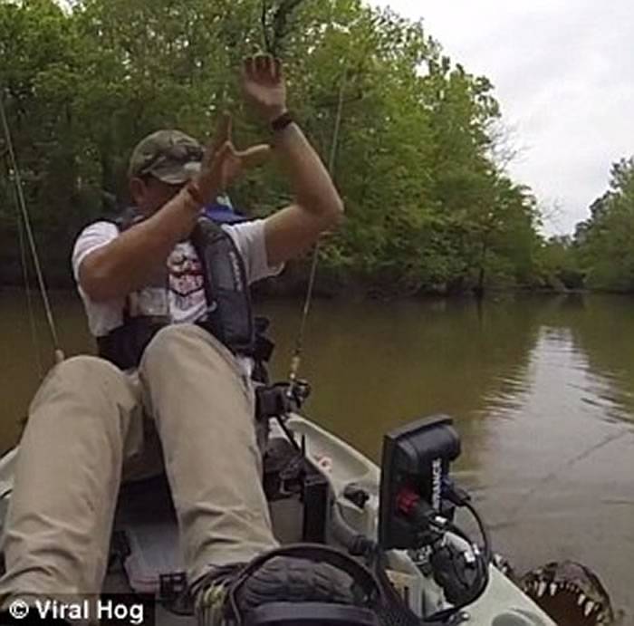 美国男子独木舟钓鱼却意外钓到巨型鳄鱼