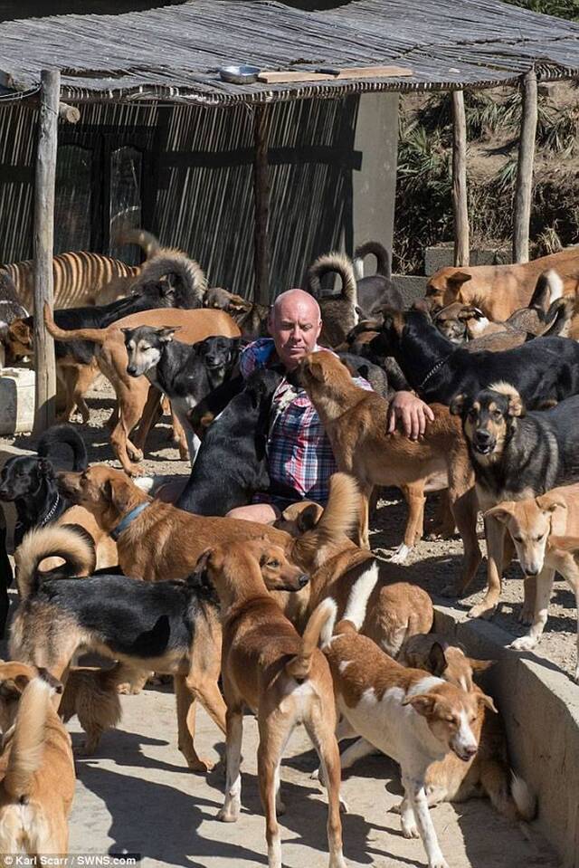 英国爱狗男子在摩洛哥打造巨大狗场收容150只流浪狗