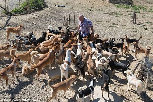 英国爱狗男子在摩洛哥打造巨大狗场收容150只流浪狗