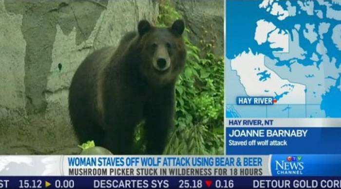 巴纳比逃命期间遇上母熊，得以脱险。