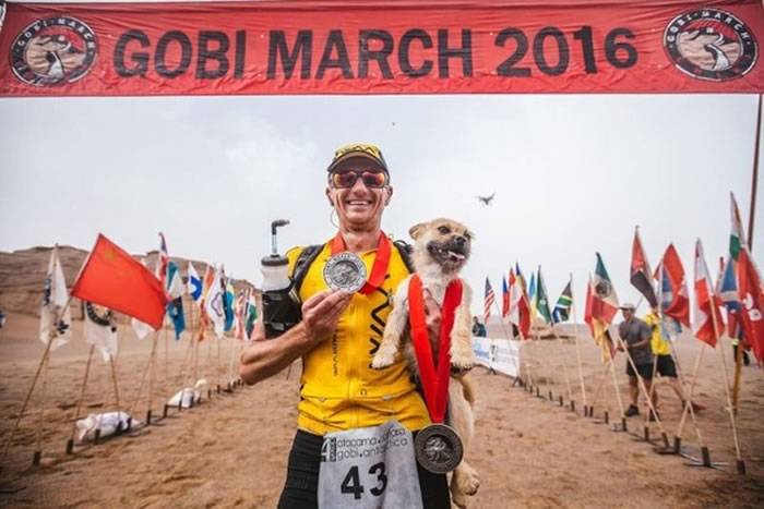 英国马拉松选手想把浪浪「Gobi」带回家！