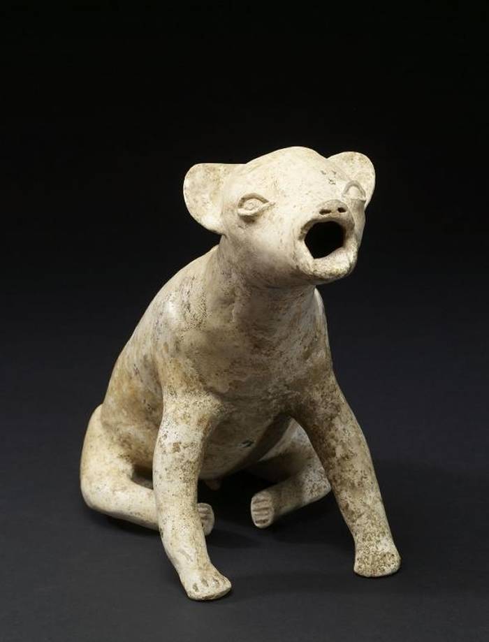 这只有2000年历史的「嗥叫的狗」雕像出土于西墨西哥科利马州（Colima）。它或许是要呈现前哥伦布时期（Pre-Columbianera）该地区闻名的一种
