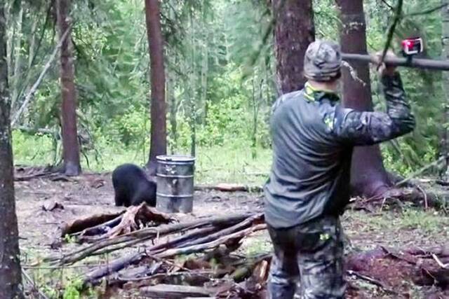 美国男子凶残猎杀黑熊长枪插内脏20小时才死去