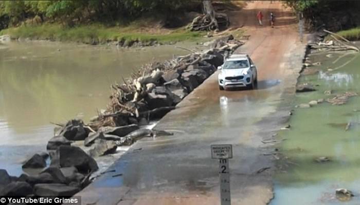 澳洲居民驾车横过河流遇到鳄鱼挡路