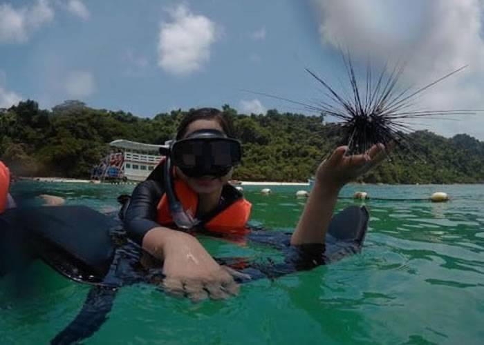 游客拾起海胆拍照留念。