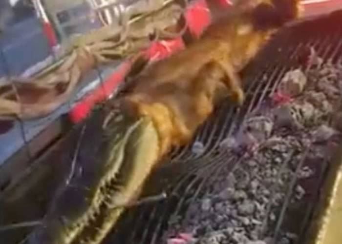 鳄鱼被放在炭火上烧烤。