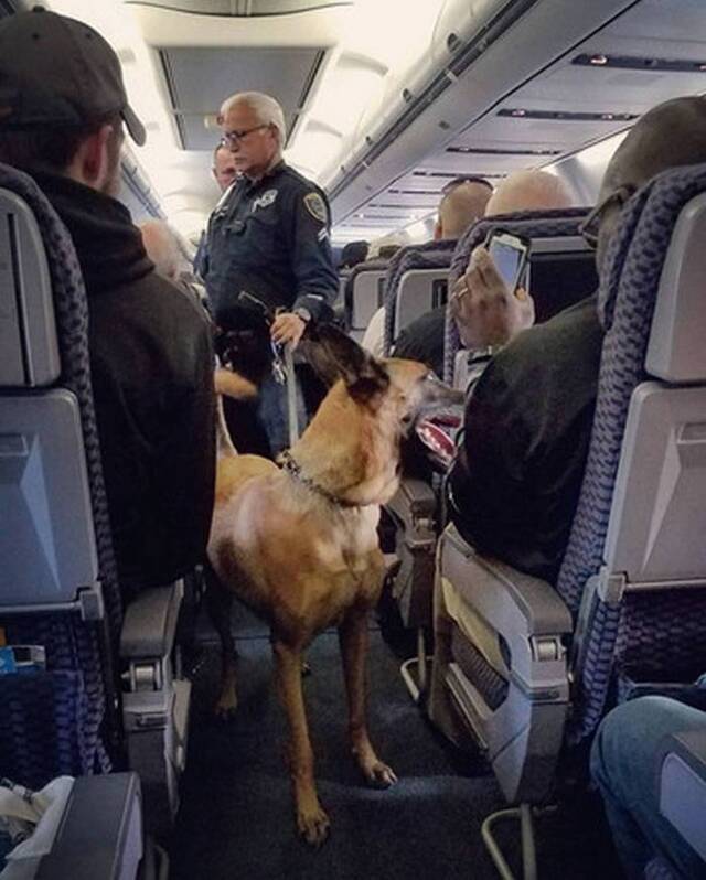 警方事后登机进行调查