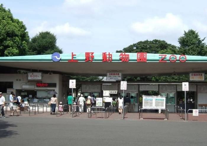 上野动物园暂停展示雀鸟。
