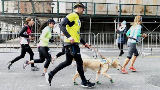托马斯·帕内克和他的三只导盲犬参加了纽约市半程马拉松比赛。（Getty）