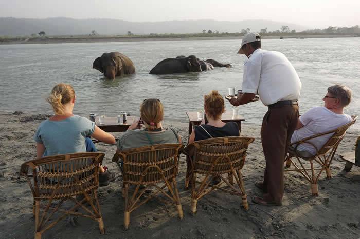 虎山顶大象营的游客一边享用饮料，一边观看大象游水。PHOTOGRAPHCOURTESYTIGERTOPS