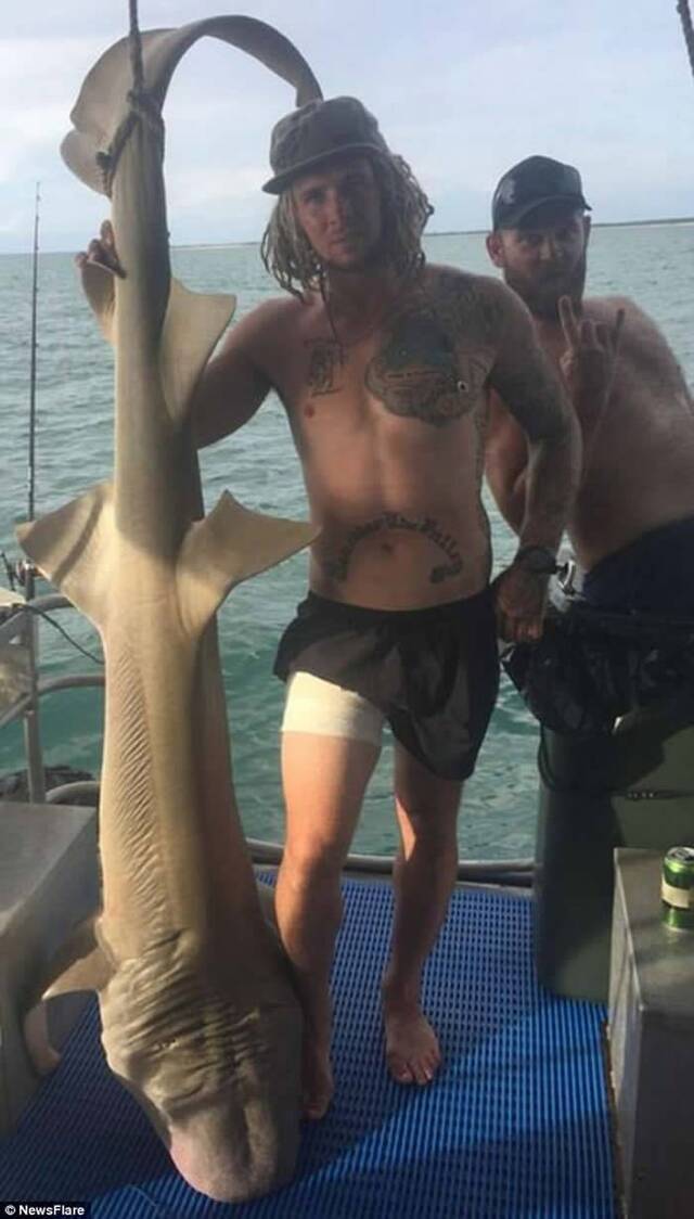 澳洲男子嫌命长要徒手捕捉鲨鱼“人鲨战”险遭噬掉子孙根