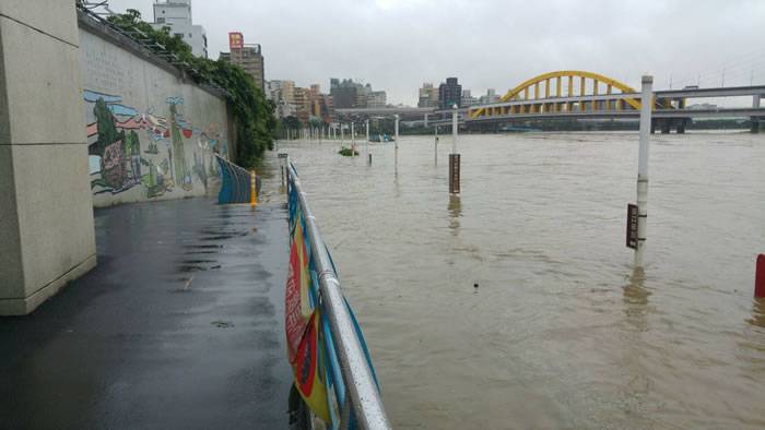 台湾暴雨来袭台北河边成动物公园