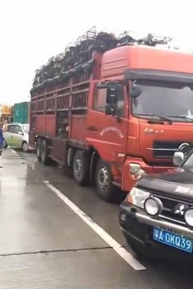 爱狗人士用汽车来拦截狗肉货车